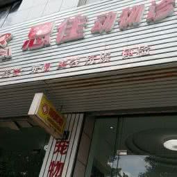 宠物诊所:杭州市临安区锦南街道附近