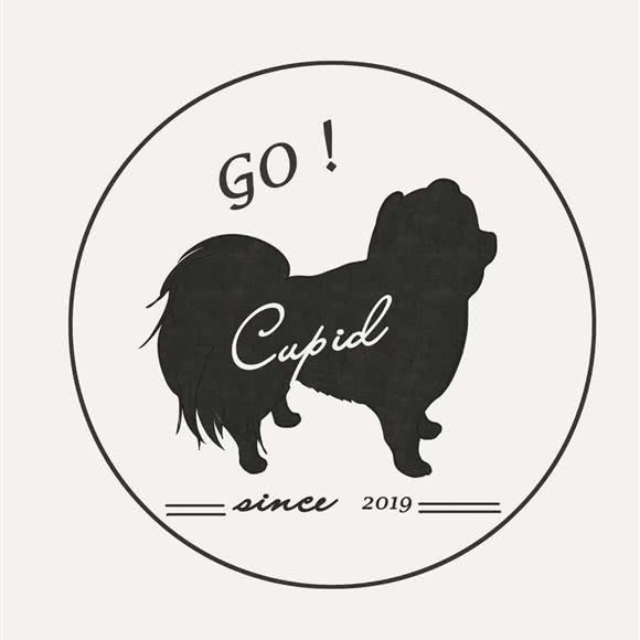 丘比特宠物生活馆:杭州市钱塘区下沙附近