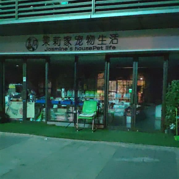 茉莉家宠物日常生活:杭州市钱塘区下沙附近