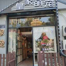 皇家萌宠:杭州市钱塘区下沙附近