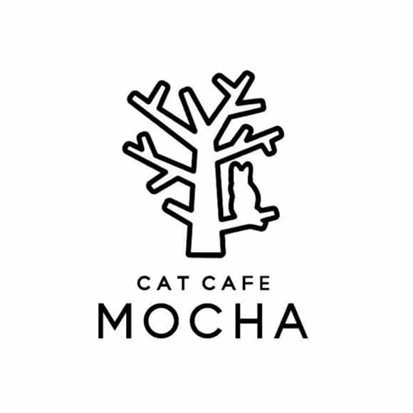 Mocha 猫舍?猫咪专业赛级洗护(下沙店):杭州市钱塘区下沙附近