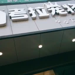 考拉宠物:杭州市钱塘区下沙附近