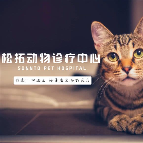 松拓动物医院·24小时内窥镜微创诊疗中心:杭州市钱塘区下沙附近