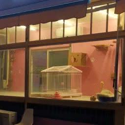 源汽宠物狗:北京城区昌平区回龙观附近