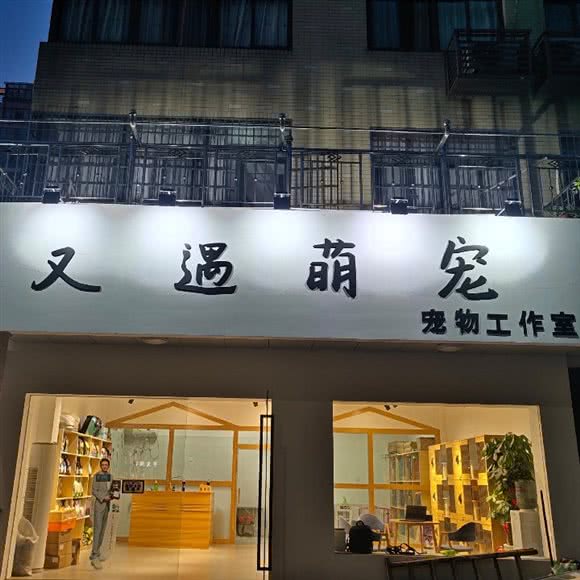 又遇萌宠面包店:杭州市钱塘区义蓬购物中心附近