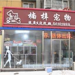 南梓宠物:北京城区昌平区回龙观附近