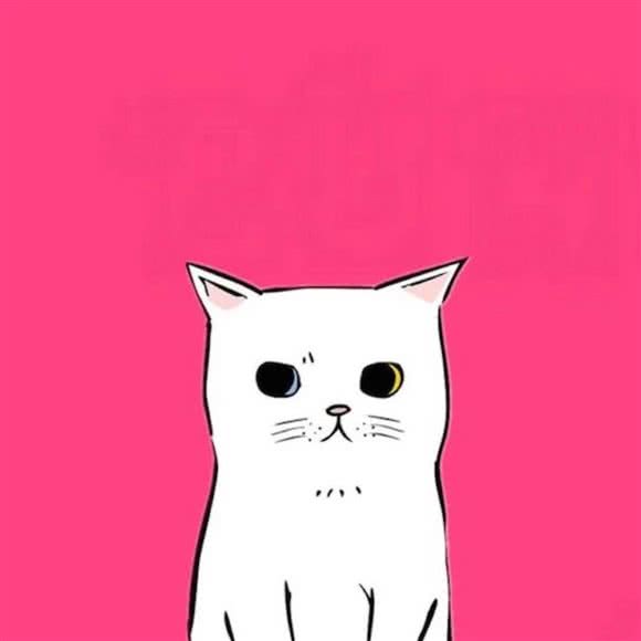 满满猫窝·猫咪寄养与陪伴(望京SOHO店):北京城区朝阳区望京附近