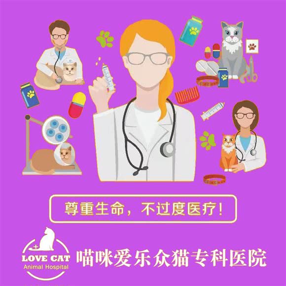 乐众·喵咪爱宠物医院:杭州市钱塘区和达东东城附近