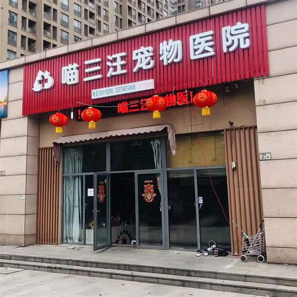 喵三汪宠物医院:杭州市钱塘区和达东东城附近