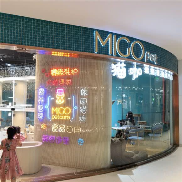 MIGO PET猫咖:杭州市钱塘区高沙商业街附近