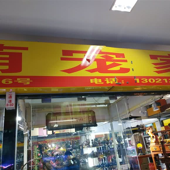 萌宠家:北京城区昌平区回龙观附近