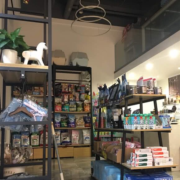 Petmore萌宠集可撸猫:杭州市钱塘区下沙宝龙城市广场附近