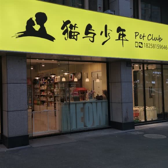 猫与少年宠物生活馆:杭州市临平区临平附近