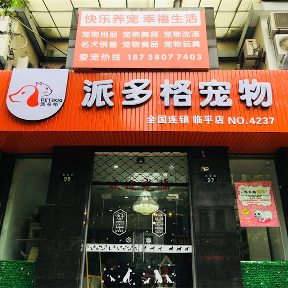 派多格宠物狗:杭州市临平区临平附近
