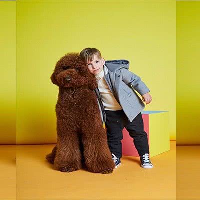 不二宠:杭州市临平区临平附近