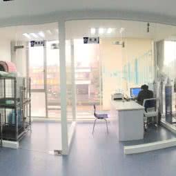 临平泽康宠物医院:杭州市临平区临平附近