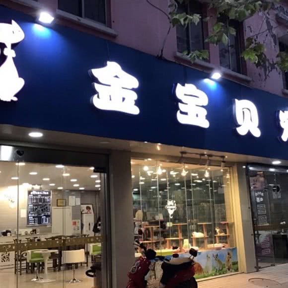 金宝贝猫狗专售宠物店:北京城区昌平区回龙观附近