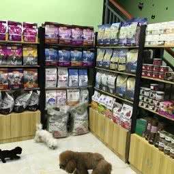 伊布哒萌宠:杭州市临平区临平商贸城附近