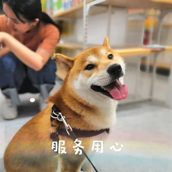 大喜宠物生活馆(临平店):杭州市临平区余之城购物中心附近