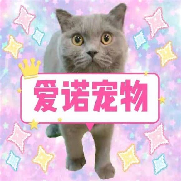 爱诺宠物:北京城区朝阳区望京附近