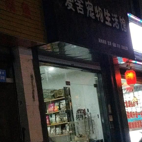爱舍宠物生活馆:杭州市临平区临平老街附近