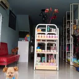 哈妮宠物生活馆:杭州市建德市新安江街道附近