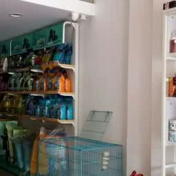 小主儿宠啦:宁波市海曙区西门口附近