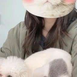 七毛宠物:宁波市海曙区月湖盛园附近