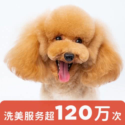 宠物家(新龙城店):北京城区昌平区回龙观附近