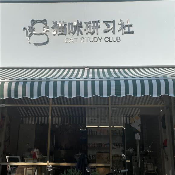 猫咪研习社:宁波市海曙区青林湾附近
