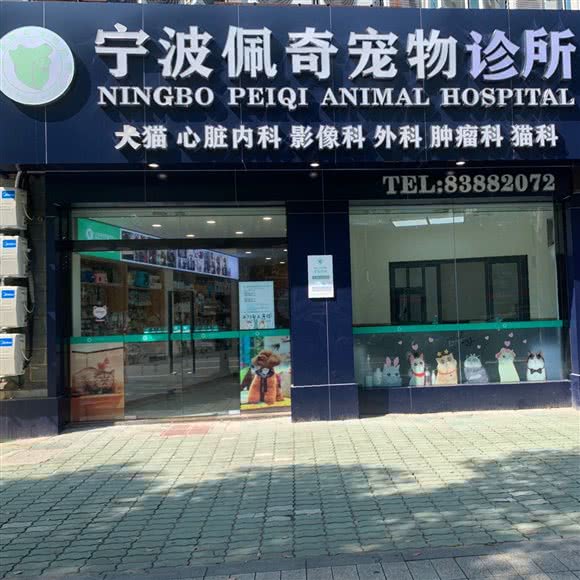 佩奇宠物医院:宁波市海曙区汽车南站/火车站附近