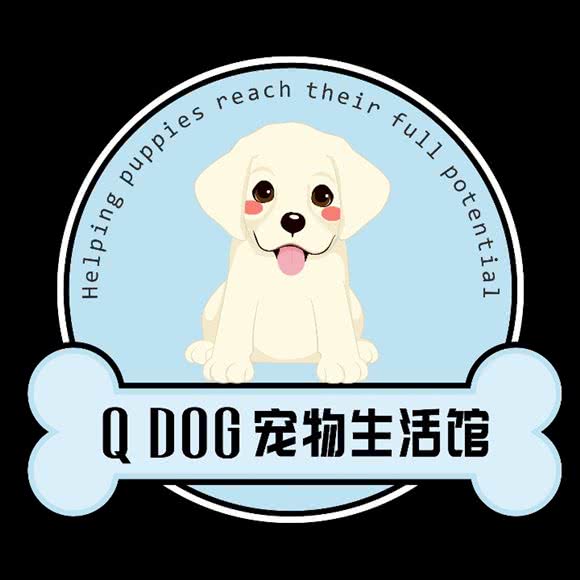 Q DOG宠物狗生活馆:北京城区昌平区回龙观附近