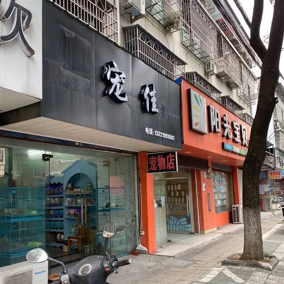 宠佳:宁波市海曙区联丰路沿线附近
