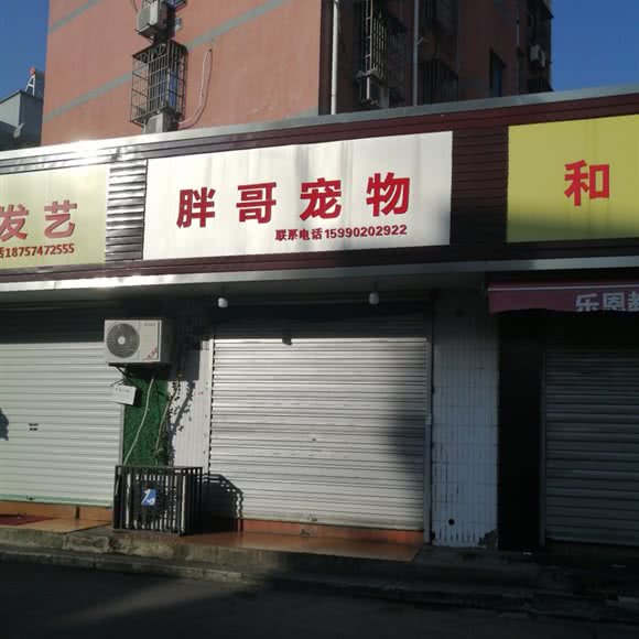 胖哥宠物:宁波市海曙区轻纺城附近