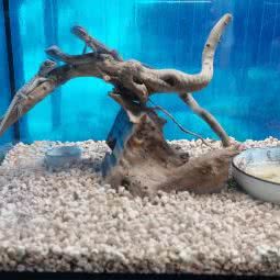 豆豆小宠主题公园:宁波市海曙区环城西路北段附近