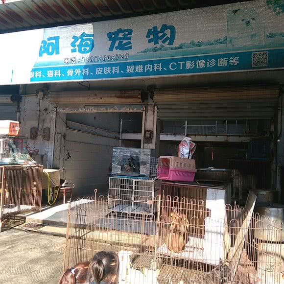 阿海宠物:宁波市海曙区环城西路北段附近