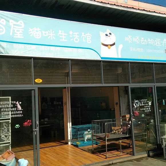 喵屋猫咪生活馆:宁波市海曙区环城西路北段附近