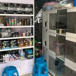 宠爱宠物诊所(集仕港店):宁波市海曙区集士港附近