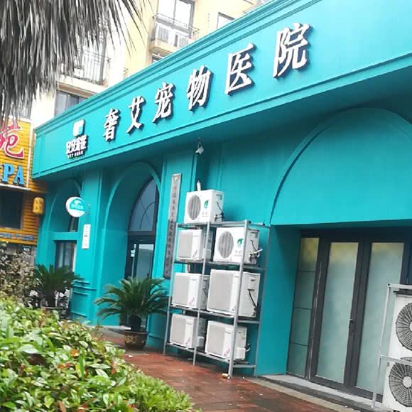 奢艾宠物医院:宁波市江北区恒一广场附近