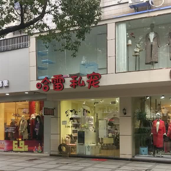 哈雷私宠:宁波市北仑区明州路沿线附近