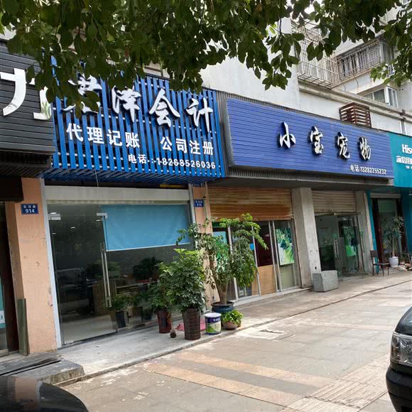 小宝宠物:宁波市北仑区明州路沿线附近