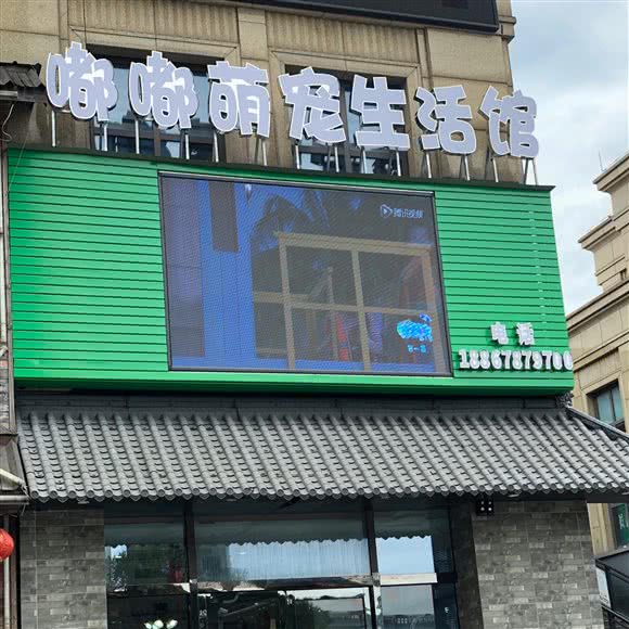 嘟嘟萌宠生活馆:宁波市北仑区新大路沿线附近