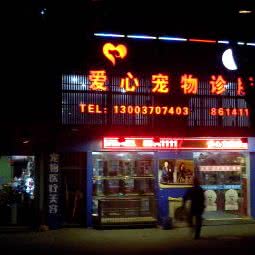 关爱宠物诊所:宁波市北仑区新大路沿线附近