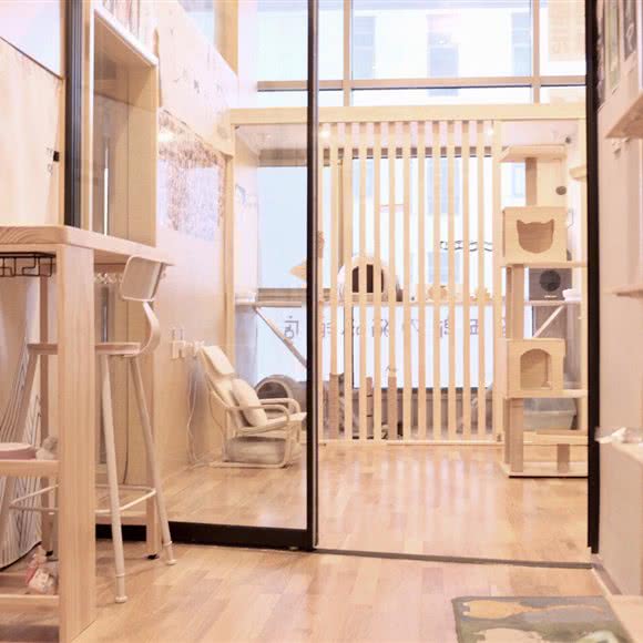 喵五郎の猫咪酒店·寄养:北京城区昌平区回龙观附近