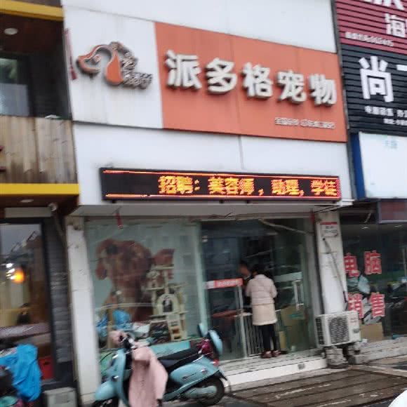 派多格狗狗:宁波市北仑区小港街道附近