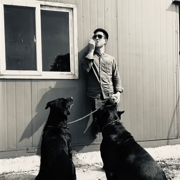 宠物寄养:宁波市北仑区小港街道附近