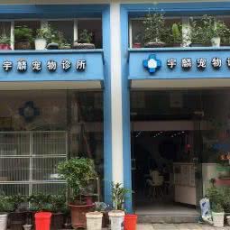 宇麟宠物诊所:宁波市北仑区小港街道附近