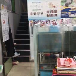 宠仆宠物:宁波市北仑区大碶附近