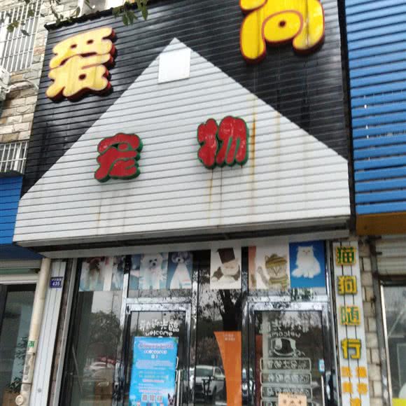 爱尚宠物:宁波市北仑区北仑中学附近