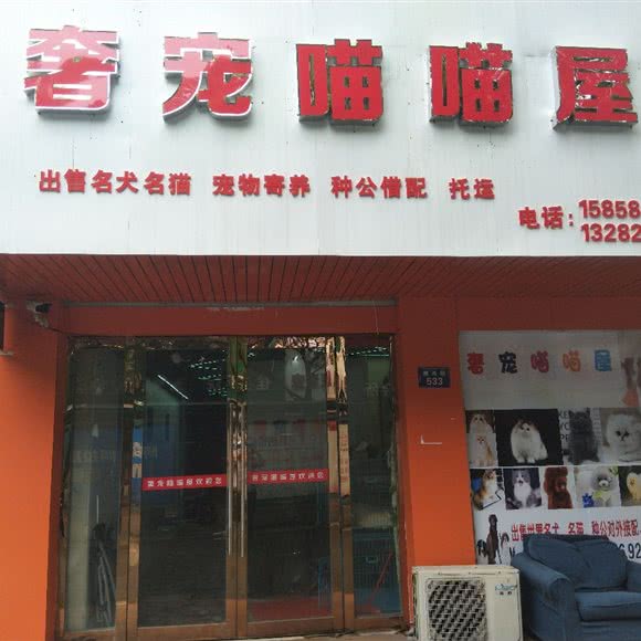 奢宠喵喵屋:宁波市北仑区高潮村附近